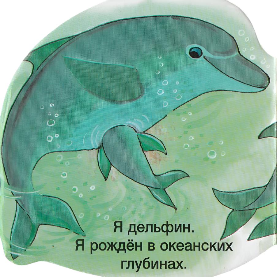 Книжка в кармашек. Дельфин. Стихи. Книжка-картонка-Сорокина А.-Лабиринт-Lookomorie