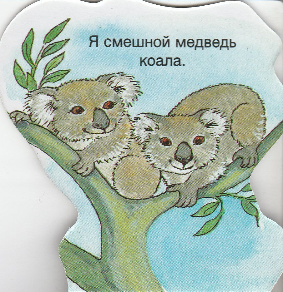 Книжка в кармашек. Коала. Стихи. Книжка-картонка-Сорокина А.-Лабиринт-Lookomorie