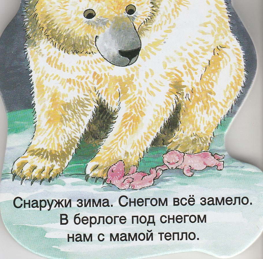 Книжка в кармашек. Белый медведь. Стихи. Книжка-картонка-Сорокина А.-Лабиринт-Lookomorie
