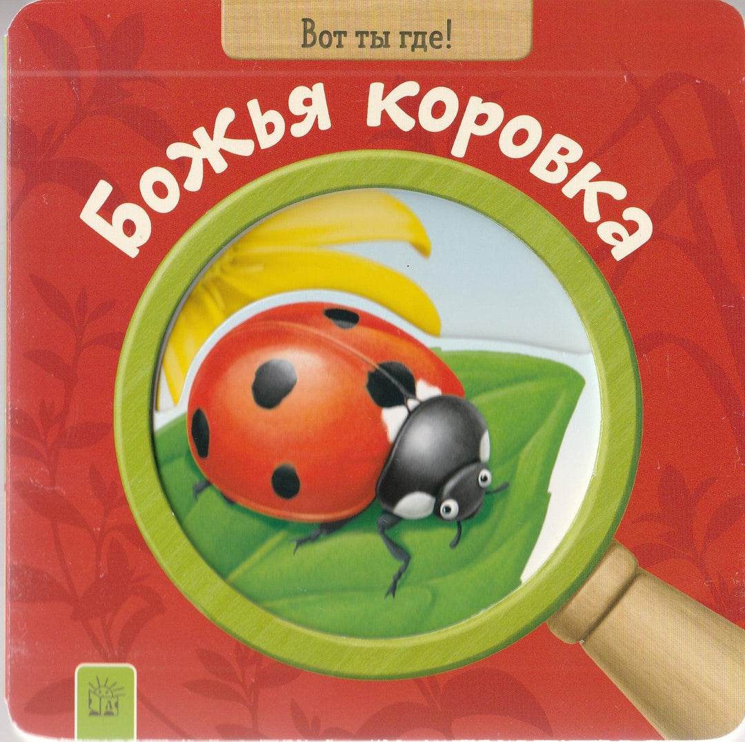 Вот ты где! Божья коровка-Ко Й.-Лабиринт-Lookomorie