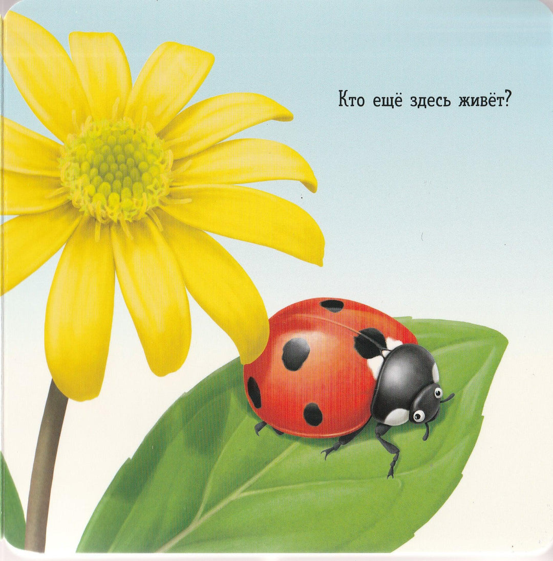 Вот ты где! Божья коровка-Ко Й.-Лабиринт-Lookomorie
