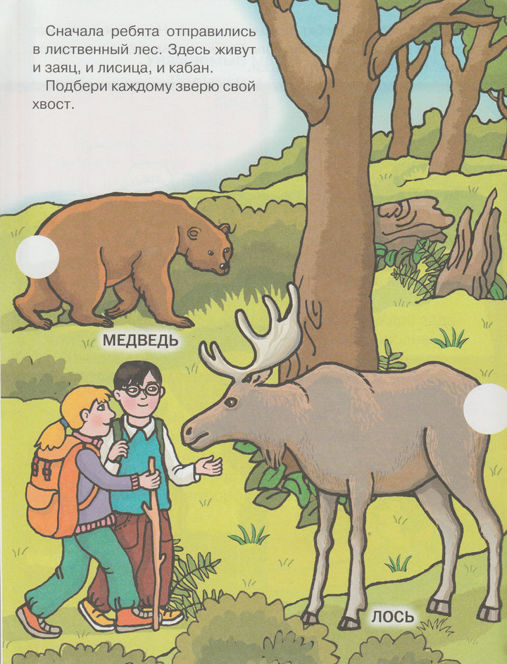 Дикие животные. Прочитай! Подумай! Наклей! Серия «Наклей-ка!»-Рассказова Г.-Дрофа Плюс-Lookomorie