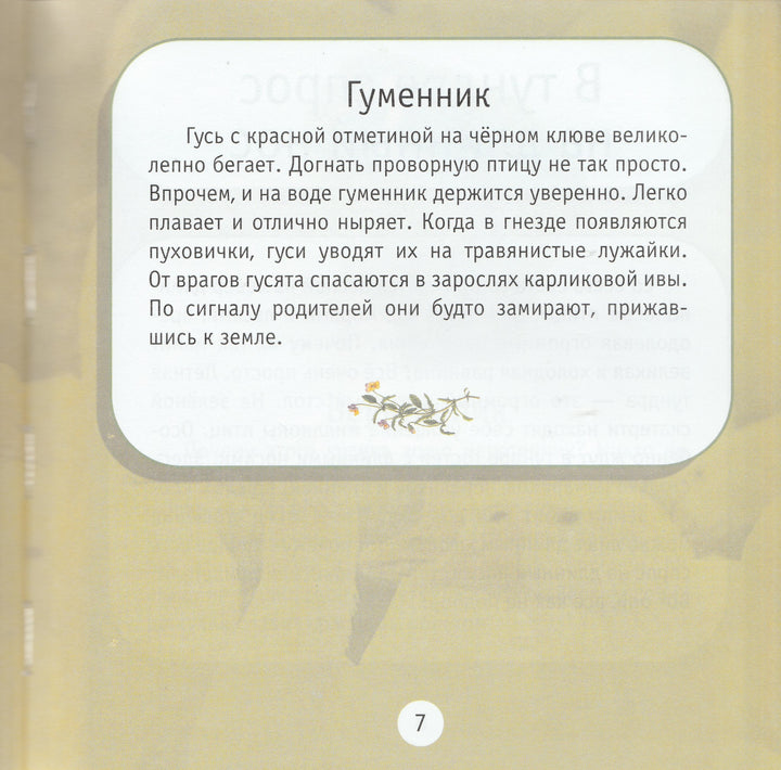 Про птиц. Моя первая книга о животных-Тихонов А.-Дрофа-Плюс-Lookomorie