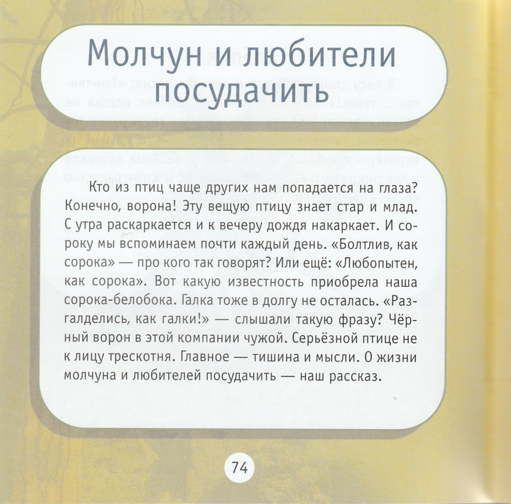 Про птиц. Моя первая книга о животных-Тихонов А.-Дрофа-Плюс-Lookomorie