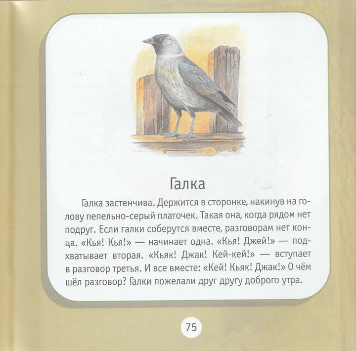 Про птиц. Моя первая книга о животных-Тихонов А.-Дрофа-Плюс-Lookomorie
