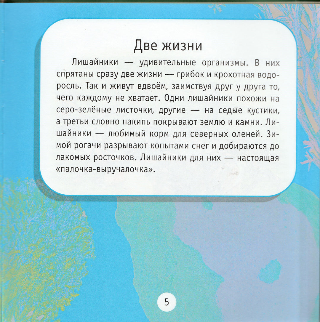 Вокруг света. Моя первая книга о природе-Тихонов А.-Дрофа-Плюс-Lookomorie