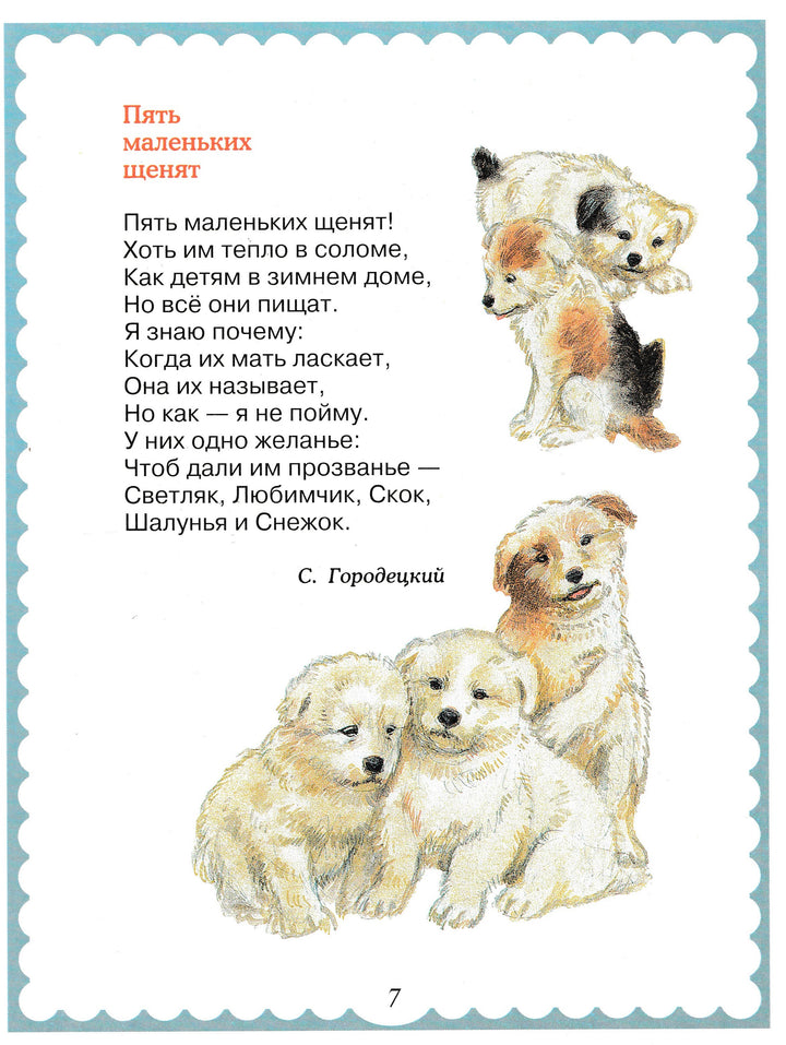 Мои домашние любимцы (илл. Елисеев А., Бритвин В.)-Берестов В.-Дрофа- Плюс-Lookomorie