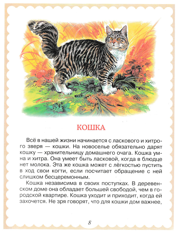 Мои домашние любимцы (илл. Елисеев А., Бритвин В.)-Берестов В.-Дрофа- Плюс-Lookomorie
