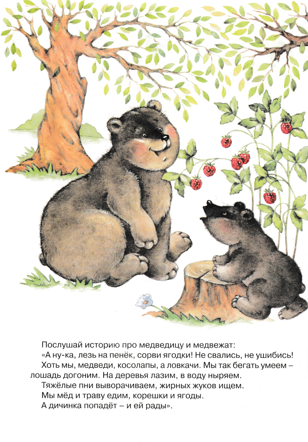 Мишка и все остальные. Развитие речи 2-4 года-Ушакова О.-Карапуз-Дидактика-Lookomorie
