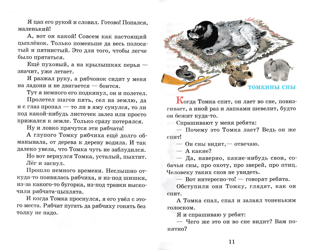 Е. Чарушин Рассказы про зверей и птиц. Школьная библиотека-Чарушин Е.-Самовар-Lookomorie