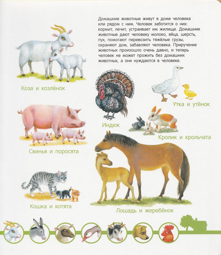 Мир животных. Энциклопедия малыша-Куликовская Т.-Стрекоза-Lookomorie