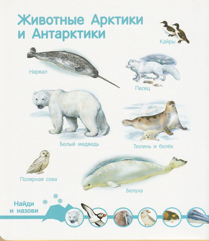 Мир животных. Энциклопедия малыша-Куликовская Т.-Стрекоза-Lookomorie