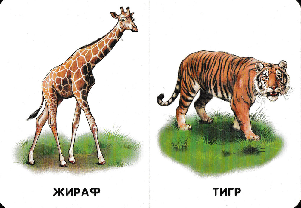 Прогулка по зоопарку. 22 картинки-Коллектив авторов-Ранок-Lookomorie