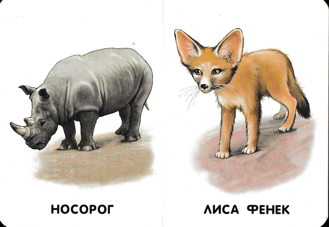 Прогулка по зоопарку. 22 картинки-Коллектив авторов-Ранок-Lookomorie