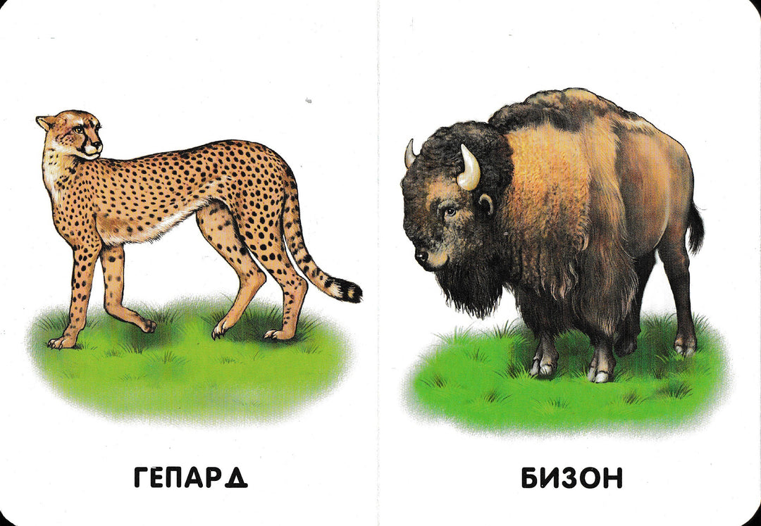 Прогулка по зоопарку. 22 картинки-Коллектив авторов-Ранок-Lookomorie