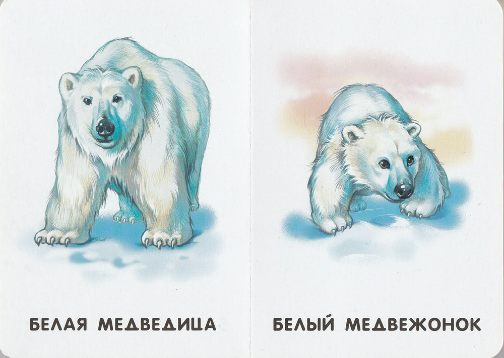 Мамы и детеныши. 22 картинки. Книжка-картонка-Чубенко С.-Ранок-Lookomorie