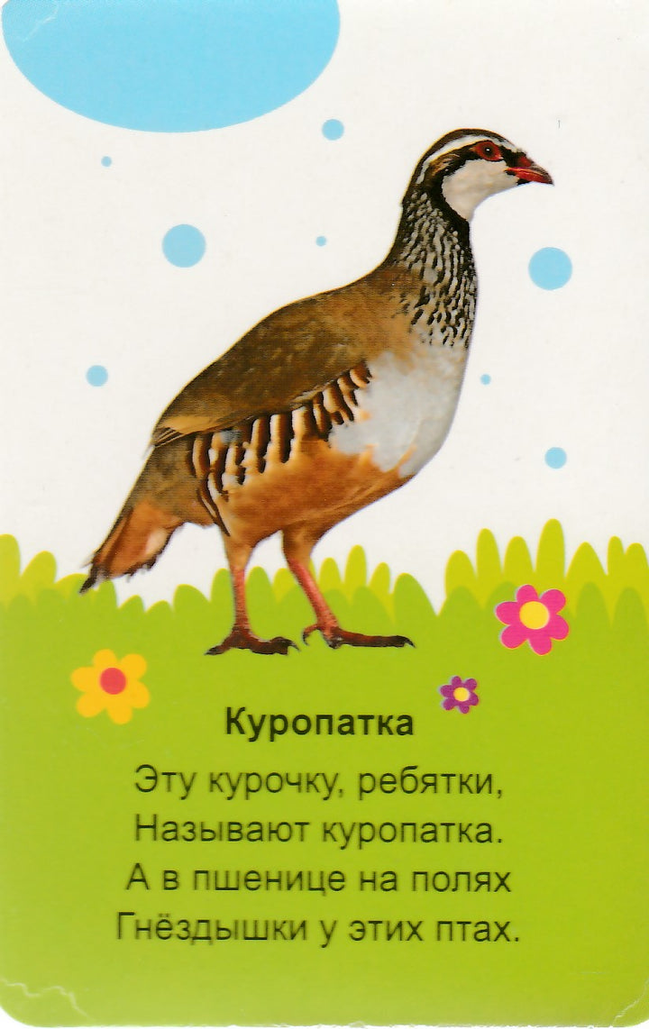 Мир вокруг. 16 карт. Умные карточки-Коллектив авторов-Маламалама-Lookomorie