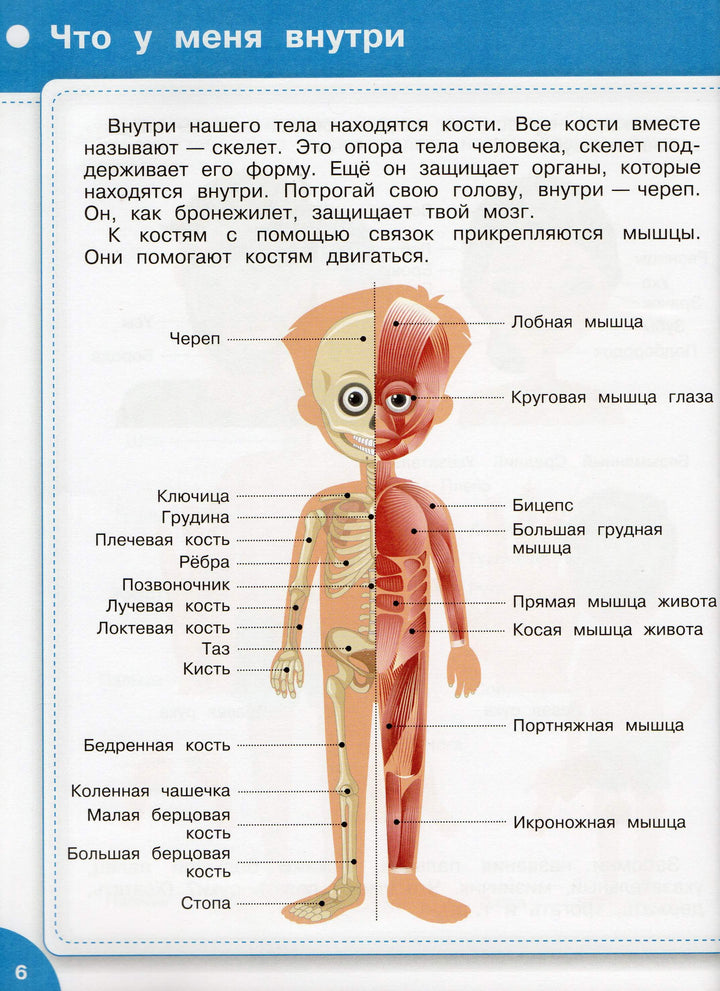 Большая книга знаний от 3 до 5 лет-Чиркова С.-Вакоша-Lookomorie