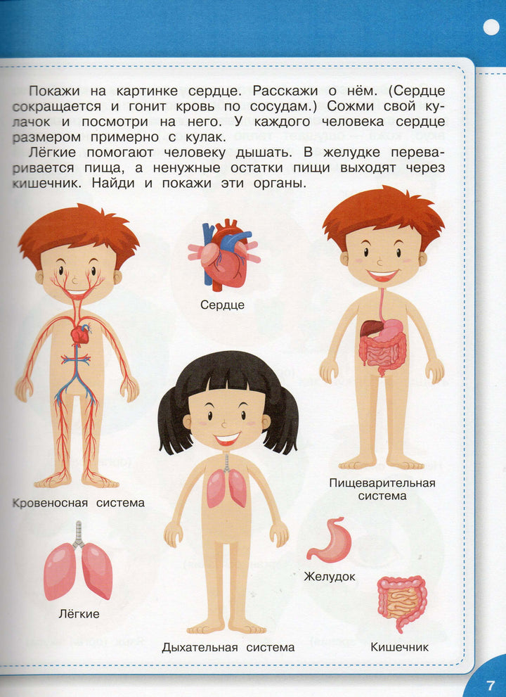 Большая книга знаний от 3 до 5 лет-Чиркова С.-Вакоша-Lookomorie