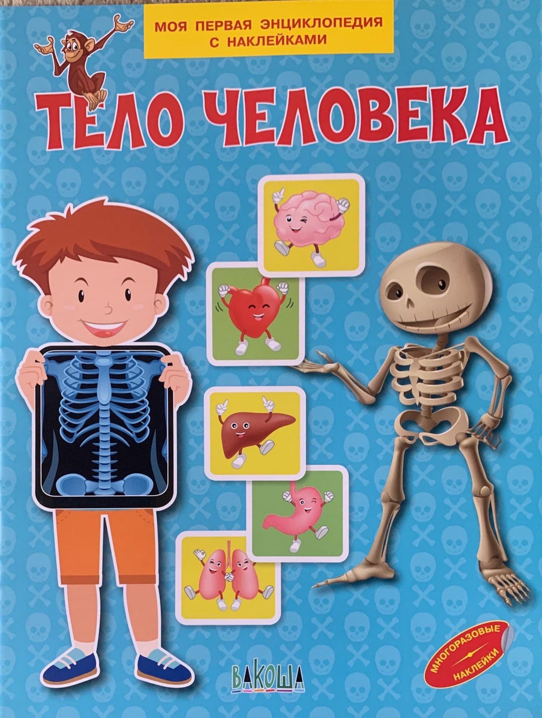 Тело человека. Моя первая энциклопедия с наклейками-Чиркова С.-Вакоша-Lookomorie