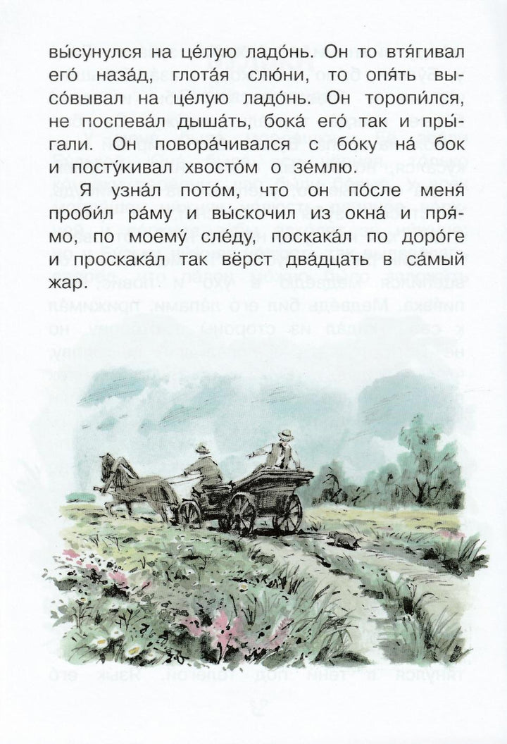 Толстой Л. Акула. Рассказы. Читаем сами-Толстой Л.-Вакоша-Lookomorie