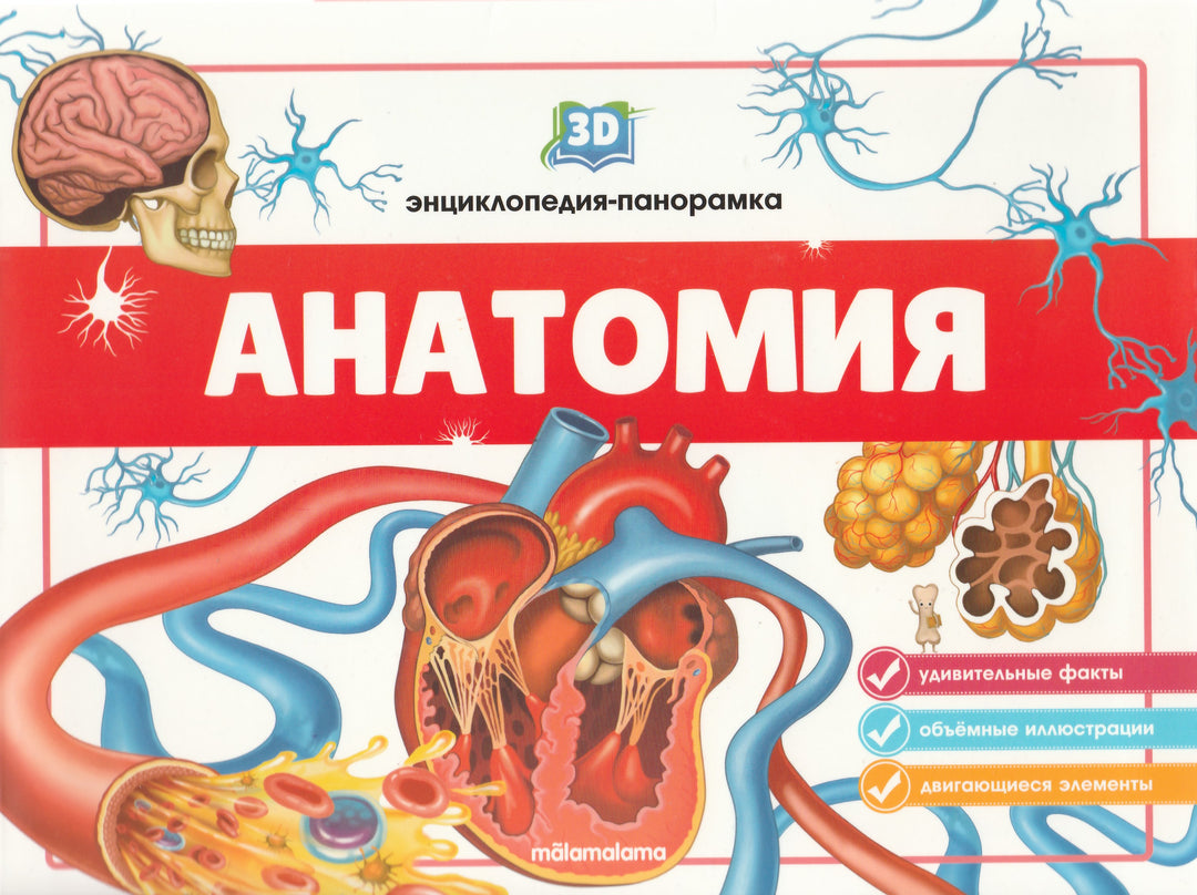 Анатомия. 3D энциклопедия-панорамка-Коллектив авторов-Маламалама-Lookomorie