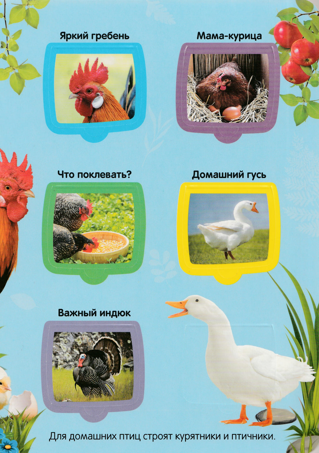 Ферма. Первые знания малыша (с окошками)-Коллектив авторов-Маламалама-Lookomorie