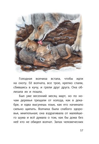 Каштанка. Белолобый-Чехов А.-Энас-книга-Lookomorie
