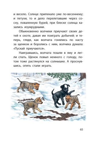 Каштанка. Белолобый-Чехов А.-Энас-книга-Lookomorie