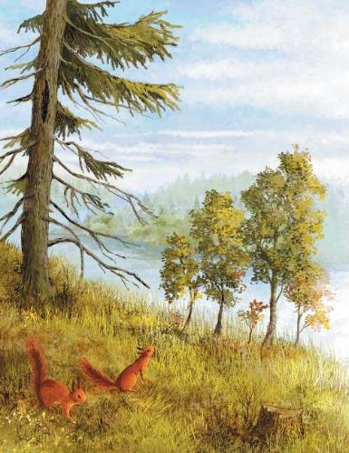 Ботанические сказки-Д. Мамин-Сибиряк, Г. Андерсен-Энас-Книга-Lookomorie