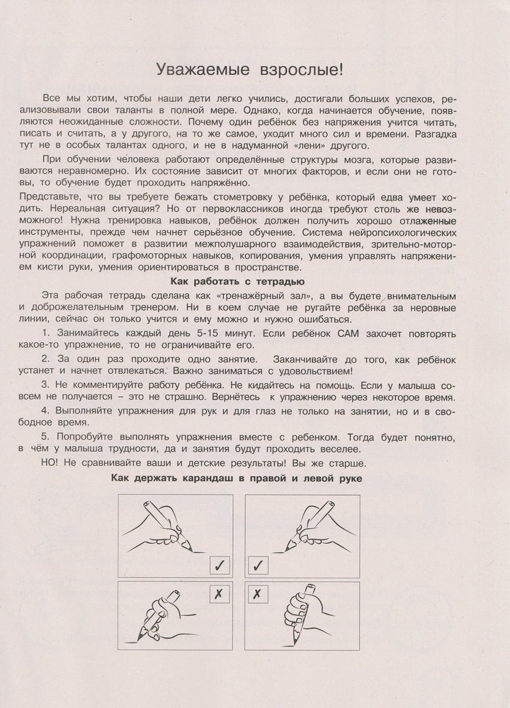 Нейропрописи для тренировки мозга. Большие прописи-Новикова Е.-АСТ-Lookomorie