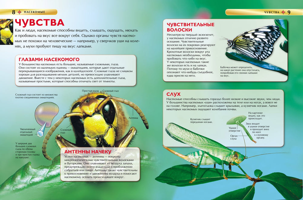 Насекомые. Детская энциклопедия-Диккинс Р.-Росмэн-Lookomorie