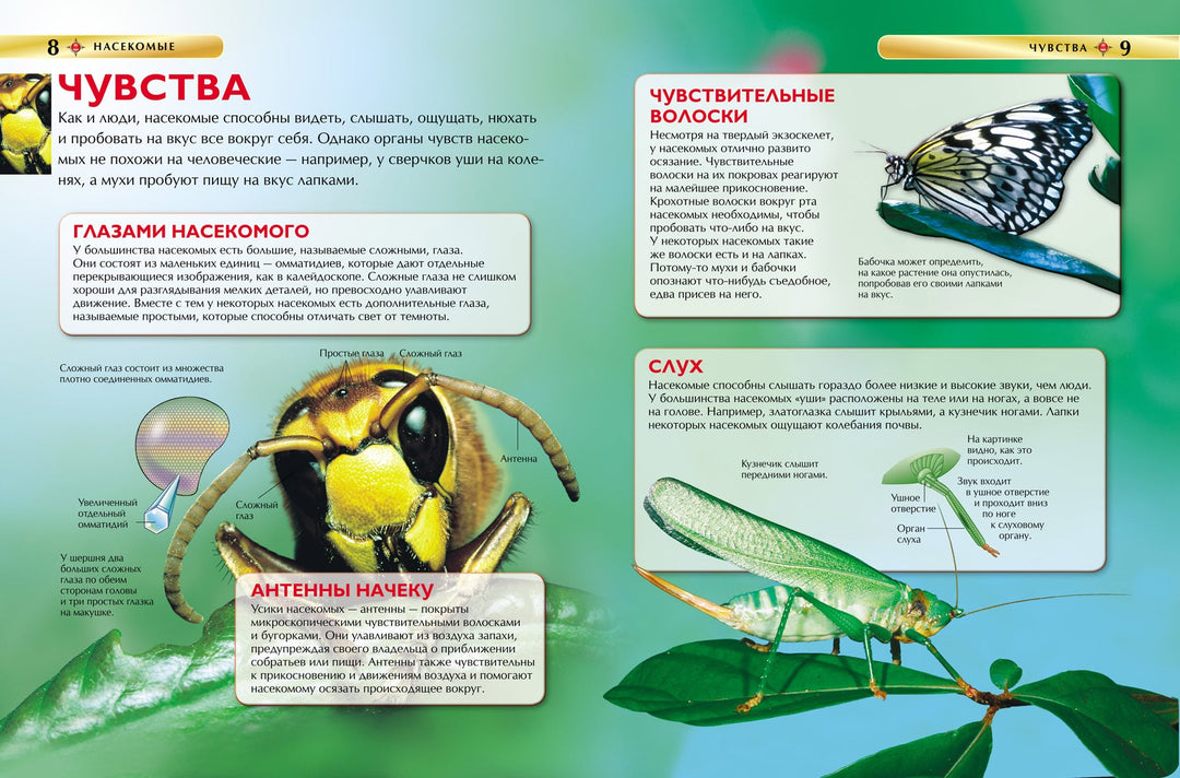 Насекомые. Детская энциклопедия-Диккинс Р.-Росмэн-Lookomorie