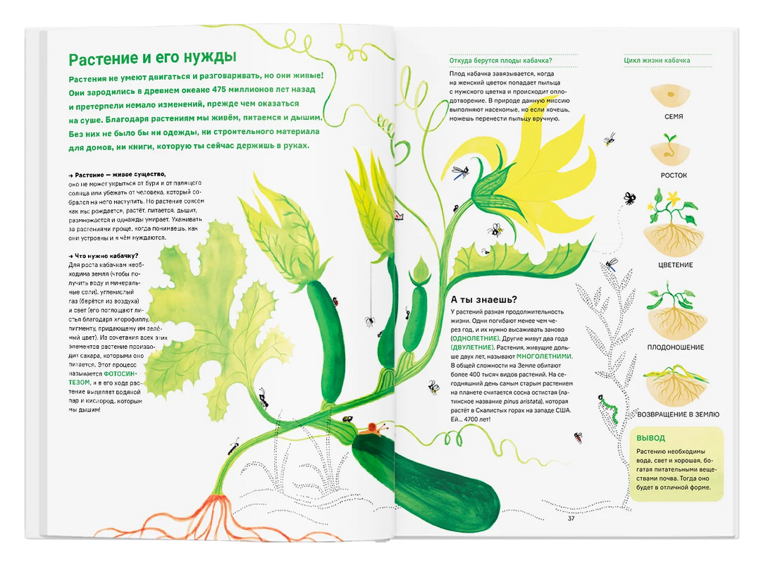 Сад круглый год. Что такое пермакультура-Скопцова И.-Ад Маргинем-Lookomorie