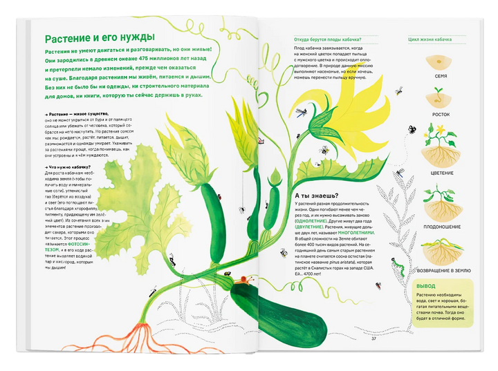 Сад круглый год. Что такое пермакультура-Скопцова И.-Ад Маргинем-Lookomorie