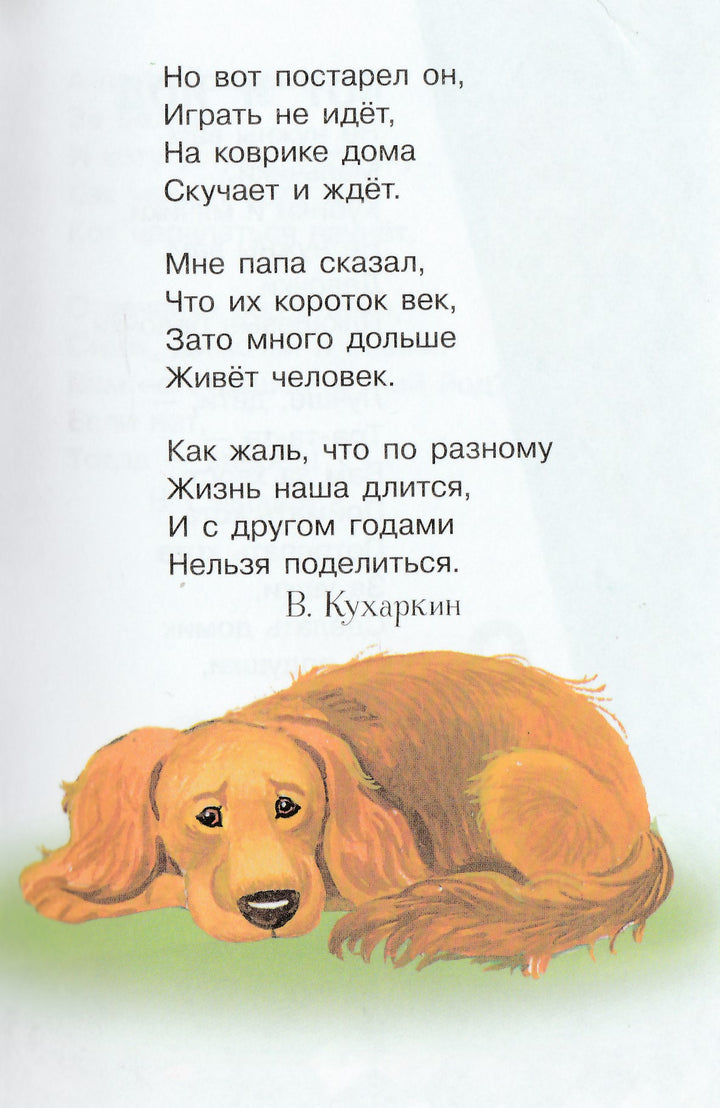 Мокрый нос, пушистый хвост. Читаем детям-Коллектив авторов-Стрекоза-Lookomorie