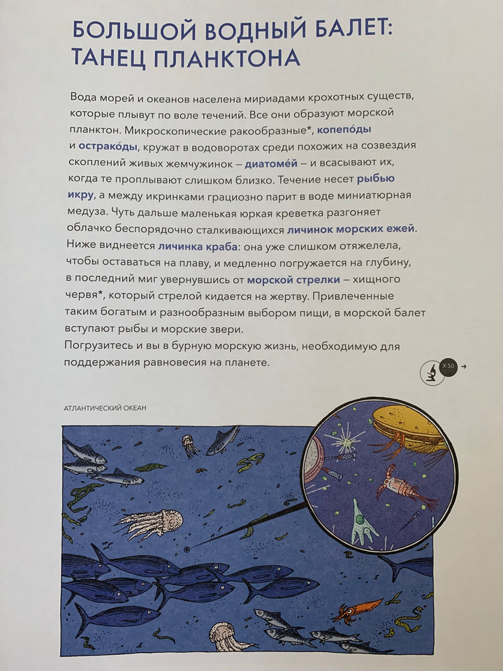 Живой мир под микроскопом (4-е издание)-Элен Р., Дамьен Л.-Манн, Иванов и Фербеp-Lookomorie