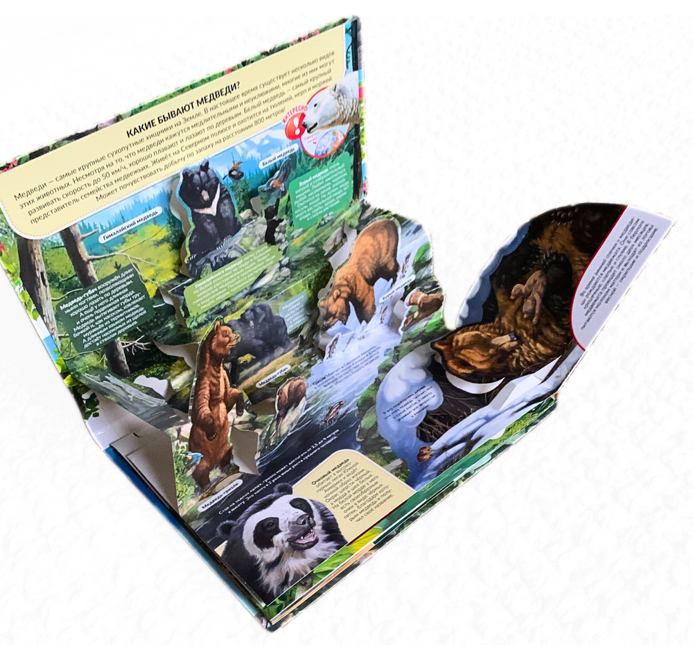 Хищники. Книжка-панорамка. POP UP энциклопедия-Коллектив авторов-Маламалама-Lookomorie