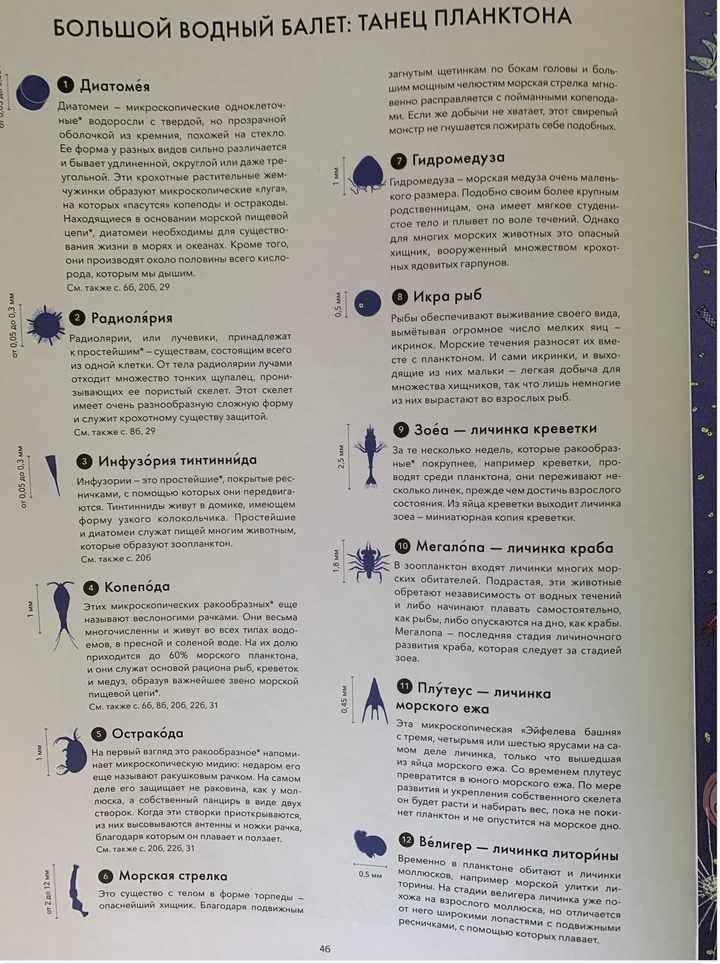 Живой мир под микроскопом (4-е издание)-Элен Р., Дамьен Л.-Манн, Иванов и Фербеp-Lookomorie