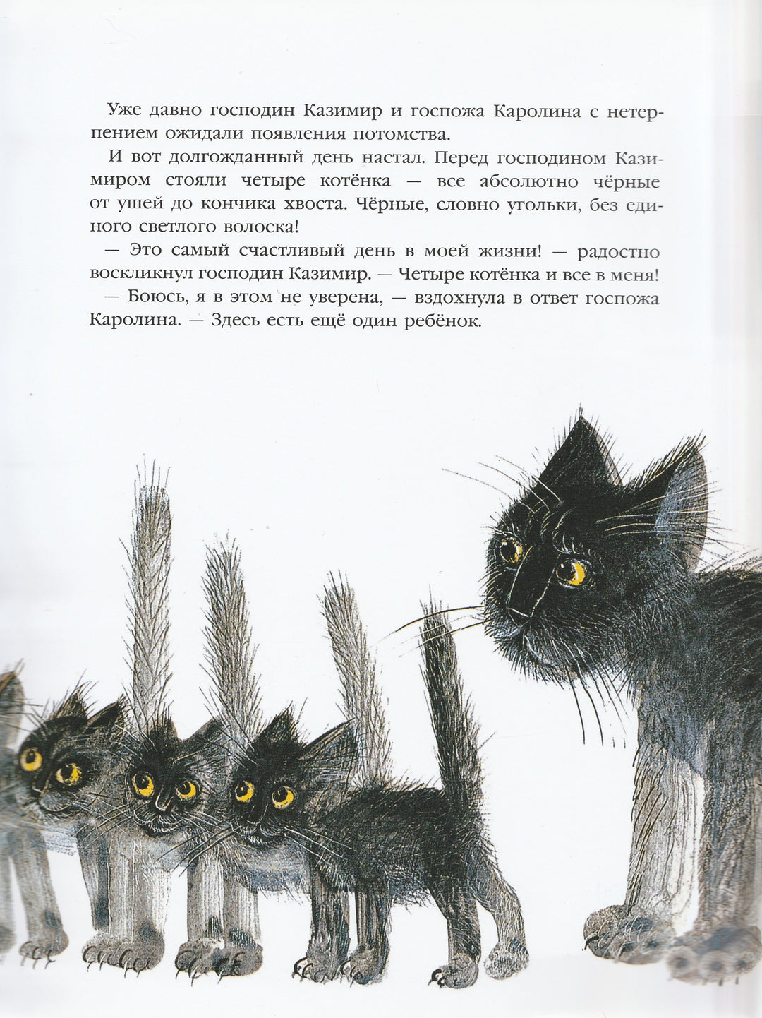 История про кошку Розалинду, непохожую на других-Вилкон П.-Мелик-Пашаев-Lookomorie