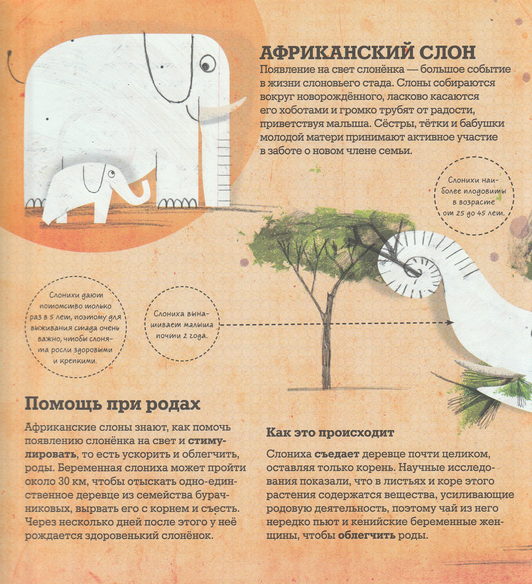 Животные-врачи. Как животные лечат друг друга-Триус Э.-Манн, Иванов и Фербеp-Lookomorie