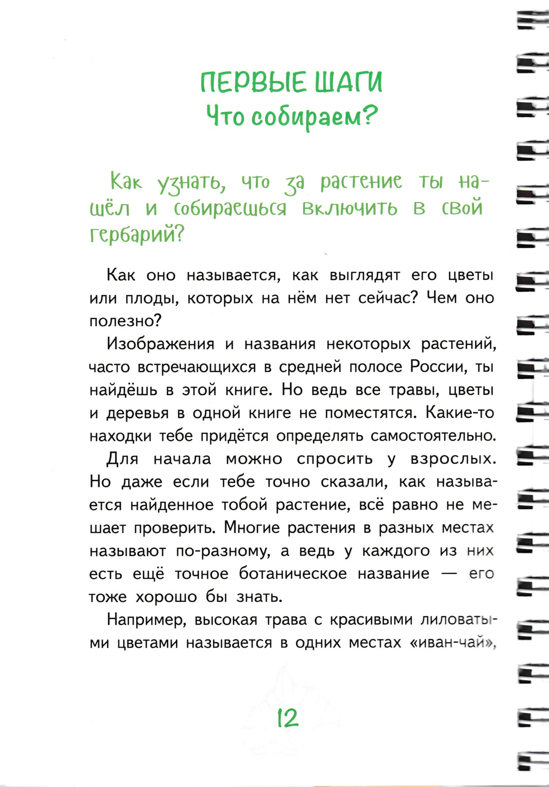 Лето на память. Моя первая коллекция растений-Азгальдова О.-КомпасГид-Lookomorie