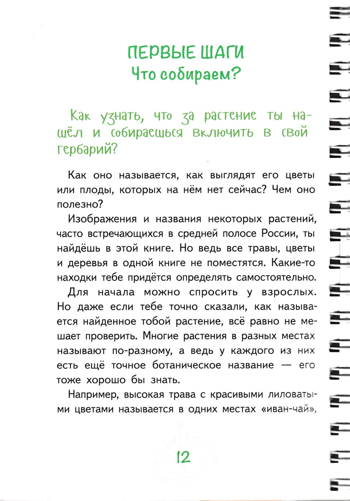 Лето на память. Моя первая коллекция растений-Азгальдова О.-КомпасГид-Lookomorie