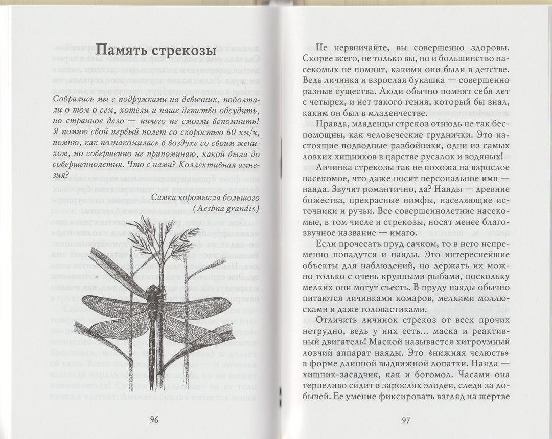 Письма насекомых. Научные развлечения-Кувыкина О.-Издательский дом Мещерякова-Lookomorie