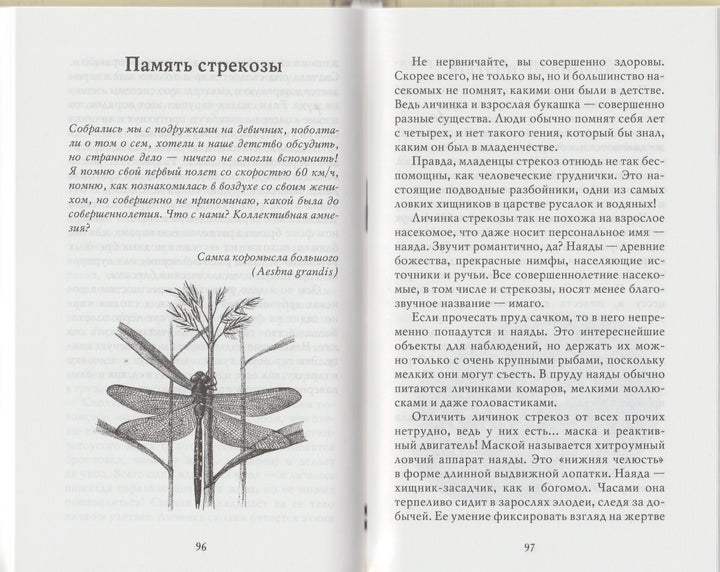 Письма насекомых. Научные развлечения-Кувыкина О.-Издательский дом Мещерякова-Lookomorie