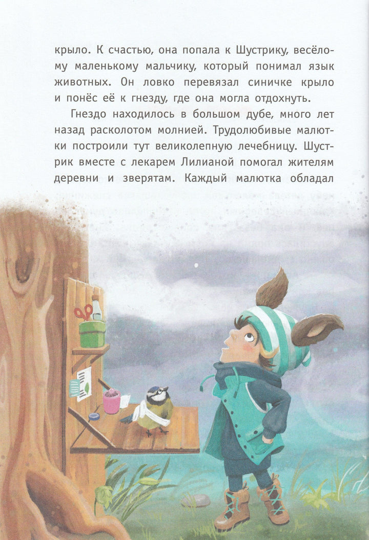 Гримм С. Чудо для ворчуна. Малыш Шустрик-Гримм Сандра-Эксмодетство-Lookomorie