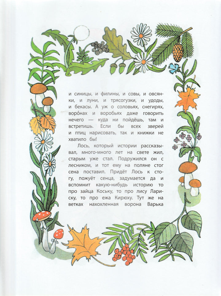 Грибачев Н. Волшебные очки. Лесные истории, сказки, стихи (илл. Г. Вальк)-Грибачев Н.-Детская литература-Lookomorie