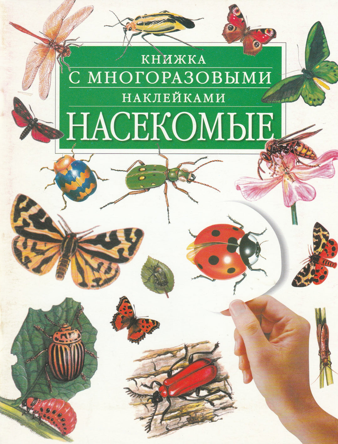 Насекомые. Книжка с многоразовыми наклейками-Вуттон Э.-АСТ-Lookomorie