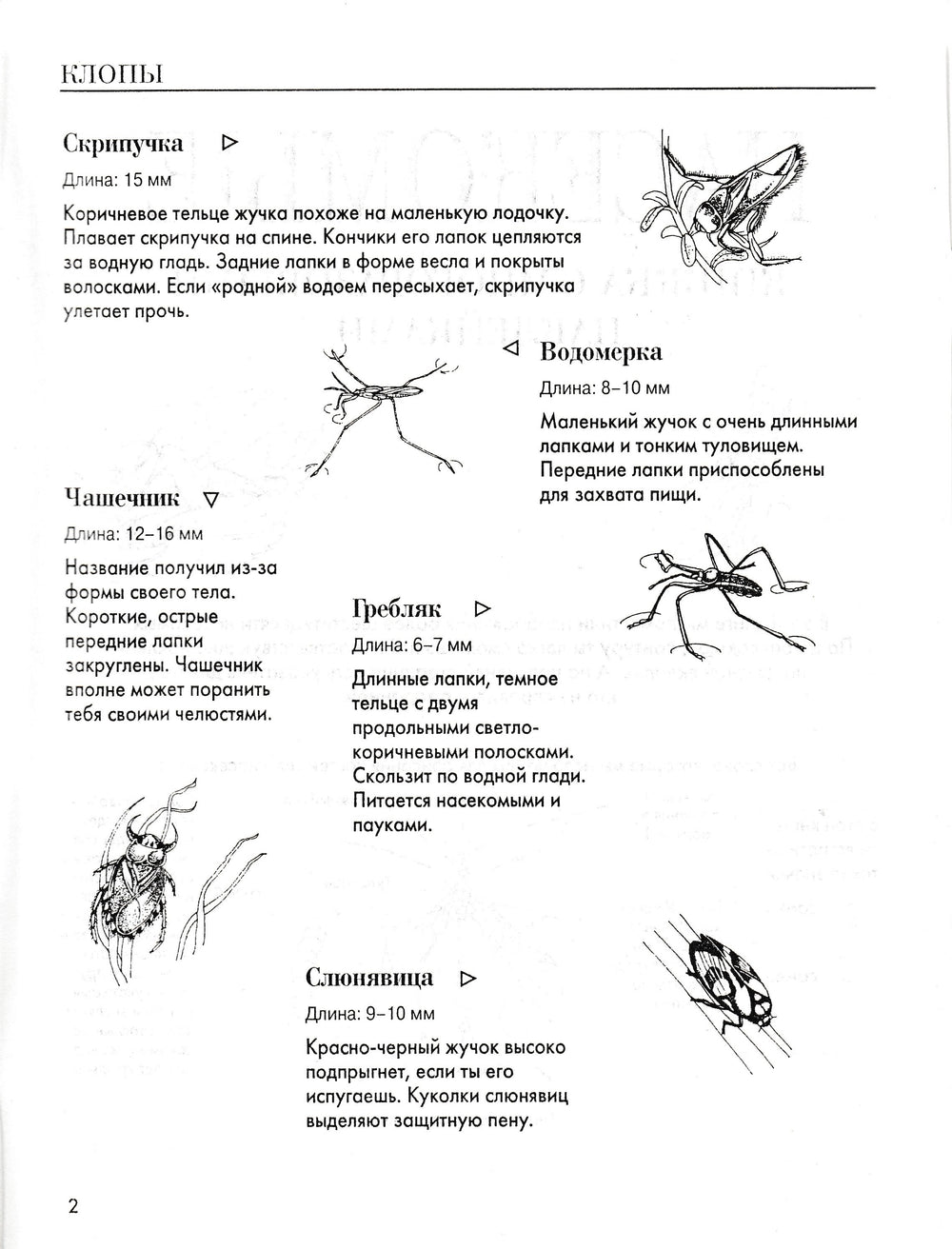 Насекомые. Книжка с многоразовыми наклейками-Вуттон Э.-АСТ-Lookomorie