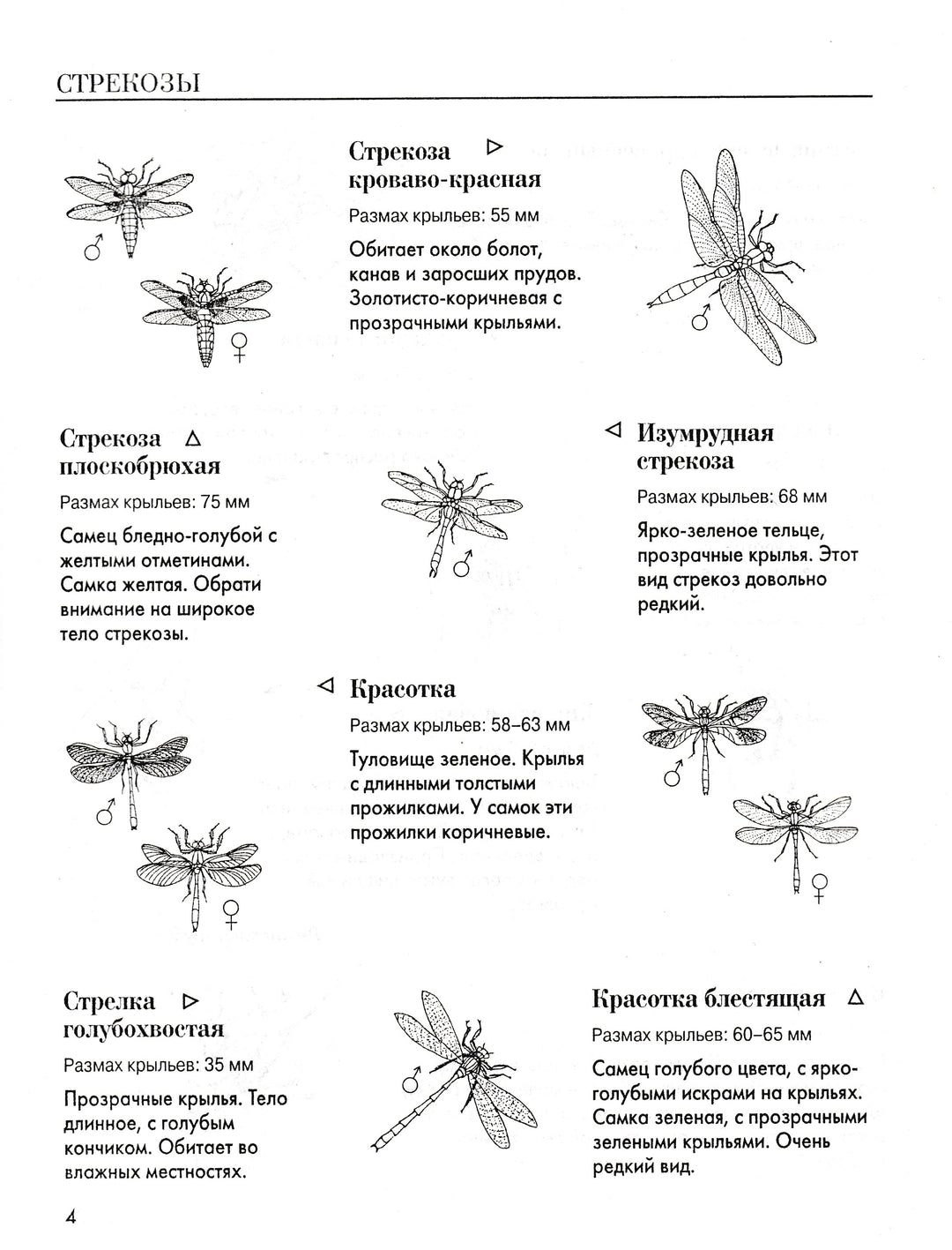 Насекомые. Книжка с многоразовыми наклейками-Вуттон Э.-АСТ-Lookomorie